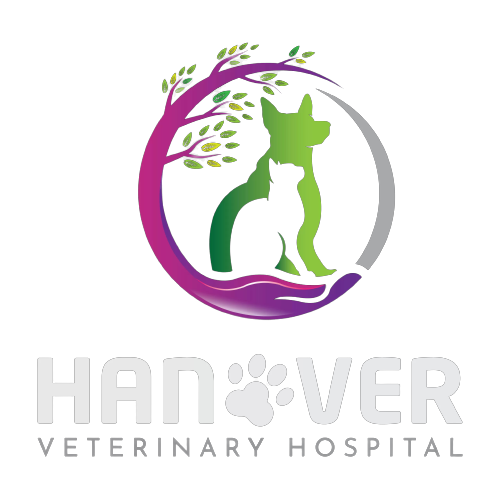 hanover vet hospital